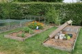Notre jardin confiné mais surveillé 